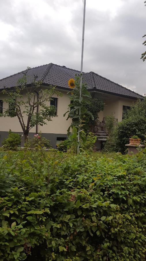 Ferienwohnung "Am Fechtertor- Eingang Zum Schlosspark" Putbus Extérieur photo